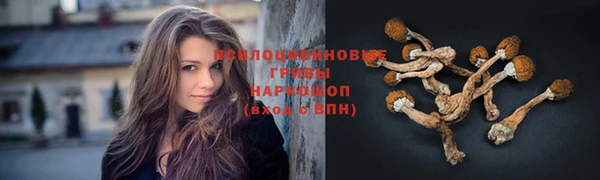 дурь Балахна