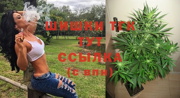 ГАЛЛЮЦИНОГЕННЫЕ ГРИБЫ Балабаново