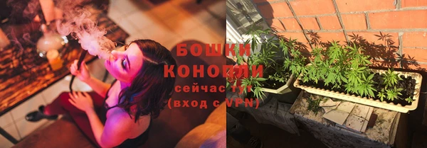 ГАЛЛЮЦИНОГЕННЫЕ ГРИБЫ Балабаново
