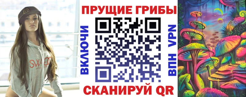 сколько стоит  Балашов  Псилоцибиновые грибы Magic Shrooms 